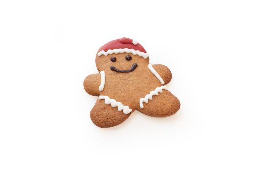 bread secret gingerbread man