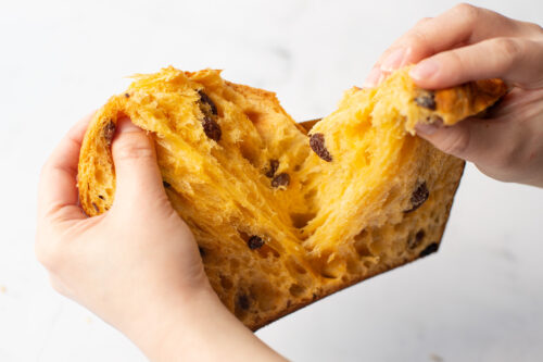 bread-secret-富彈性的意大利聖誕麵包 bread-secret-富彈性的意大利聖誕麵包