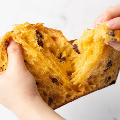 bread-secret-富彈性的意大利聖誕麵包